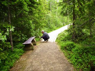 Weg zum Hällingsåfallet